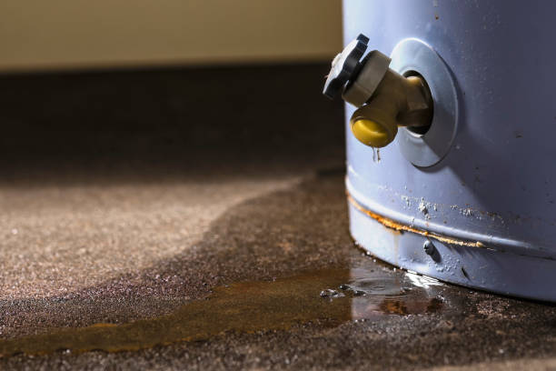 Best Flooded house restoration  in Jasper, FL