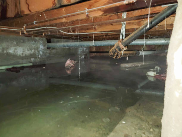 Best Sewage cleanup and water damage restoration  in Jasper, FL