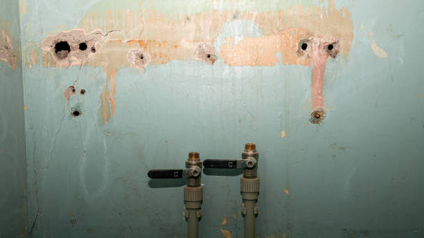 Best Emergency water extraction  in Jasper, FL