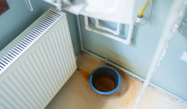 Best Professional water damage repair  in Jasper, FL