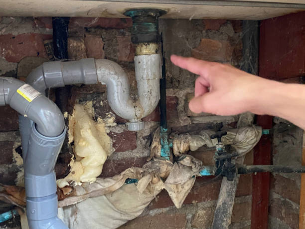 Best Water damage cleanup near me  in Jasper, FL