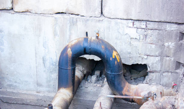 Best Professional water damage repair  in Jasper, FL